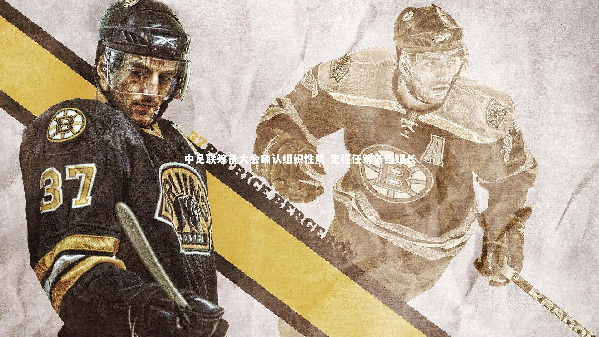 ng体育平台_中足联筹备大会确认组织性质 史强任筹备组组长